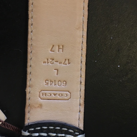 Coach Dog Collar - Picture 2 of 3